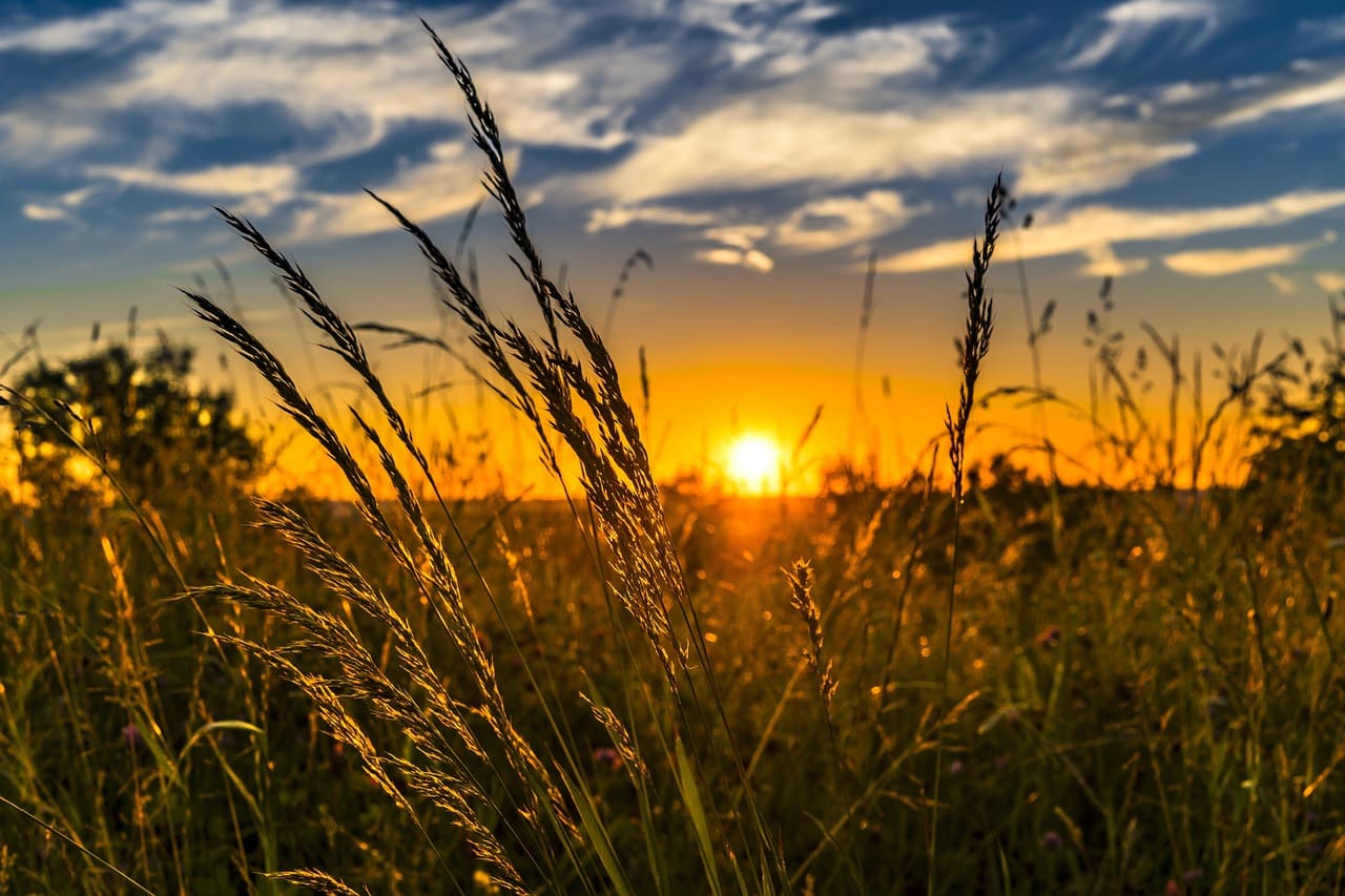 image Yellow weather warning issued, due to expected high temperatures