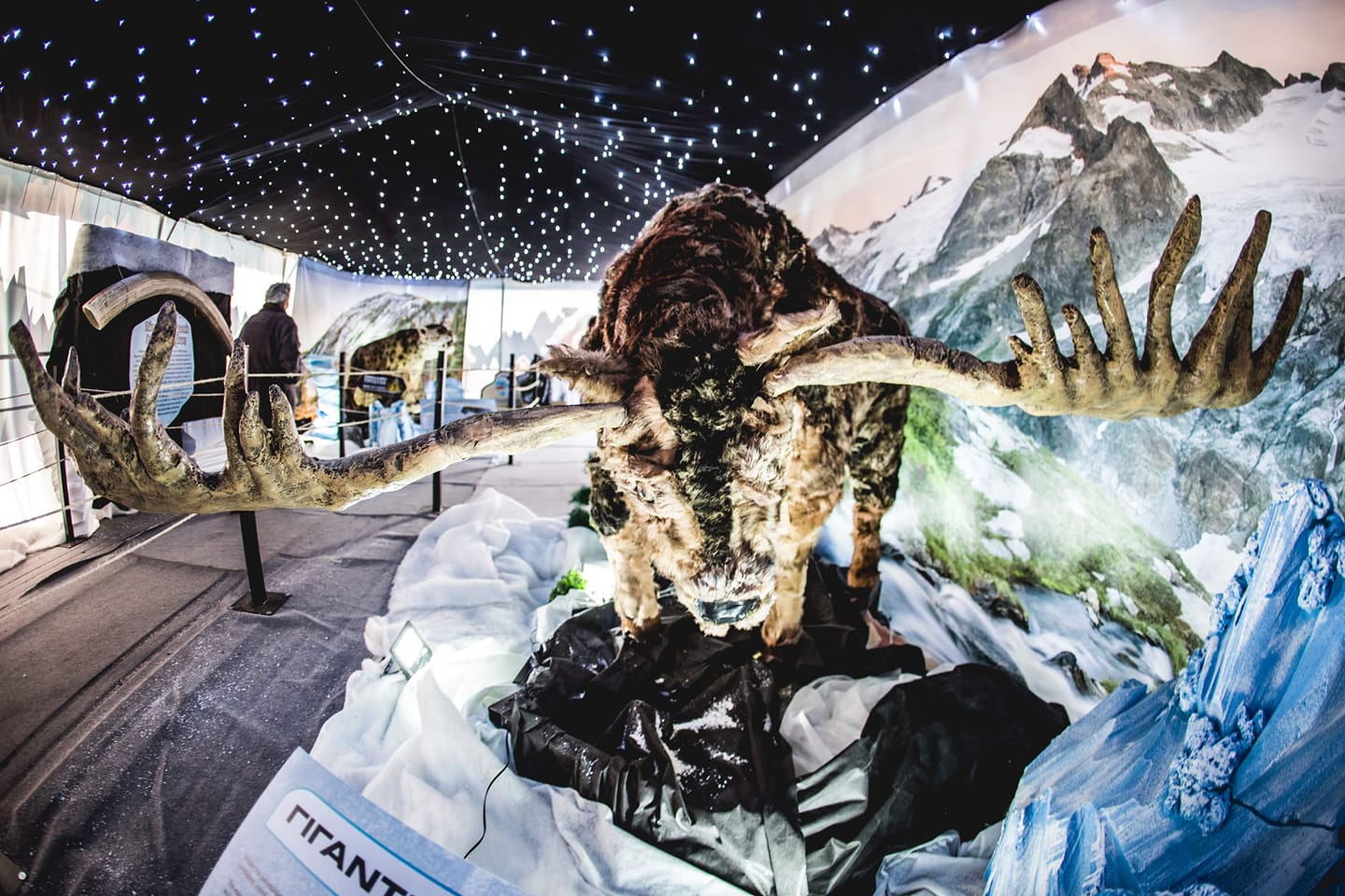 image Explore the Ice Age