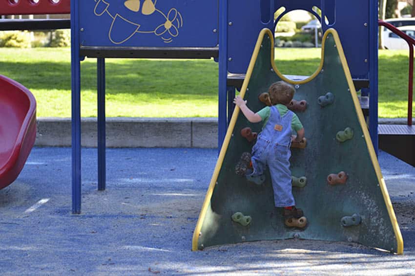 image Retired Larnaca art teacher beautifies neighbourhood park