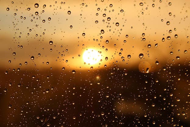 image Light rain expected on the weekend, temperatures set to rise