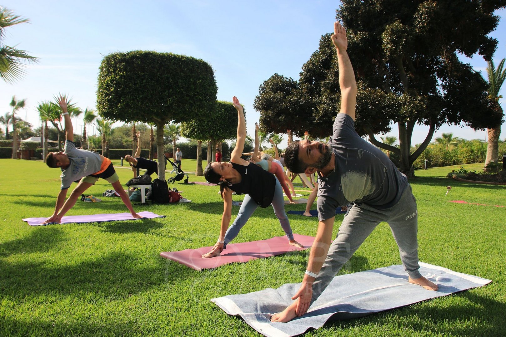 image Festival to promote salve for the Mind, Body &#038; Spirit