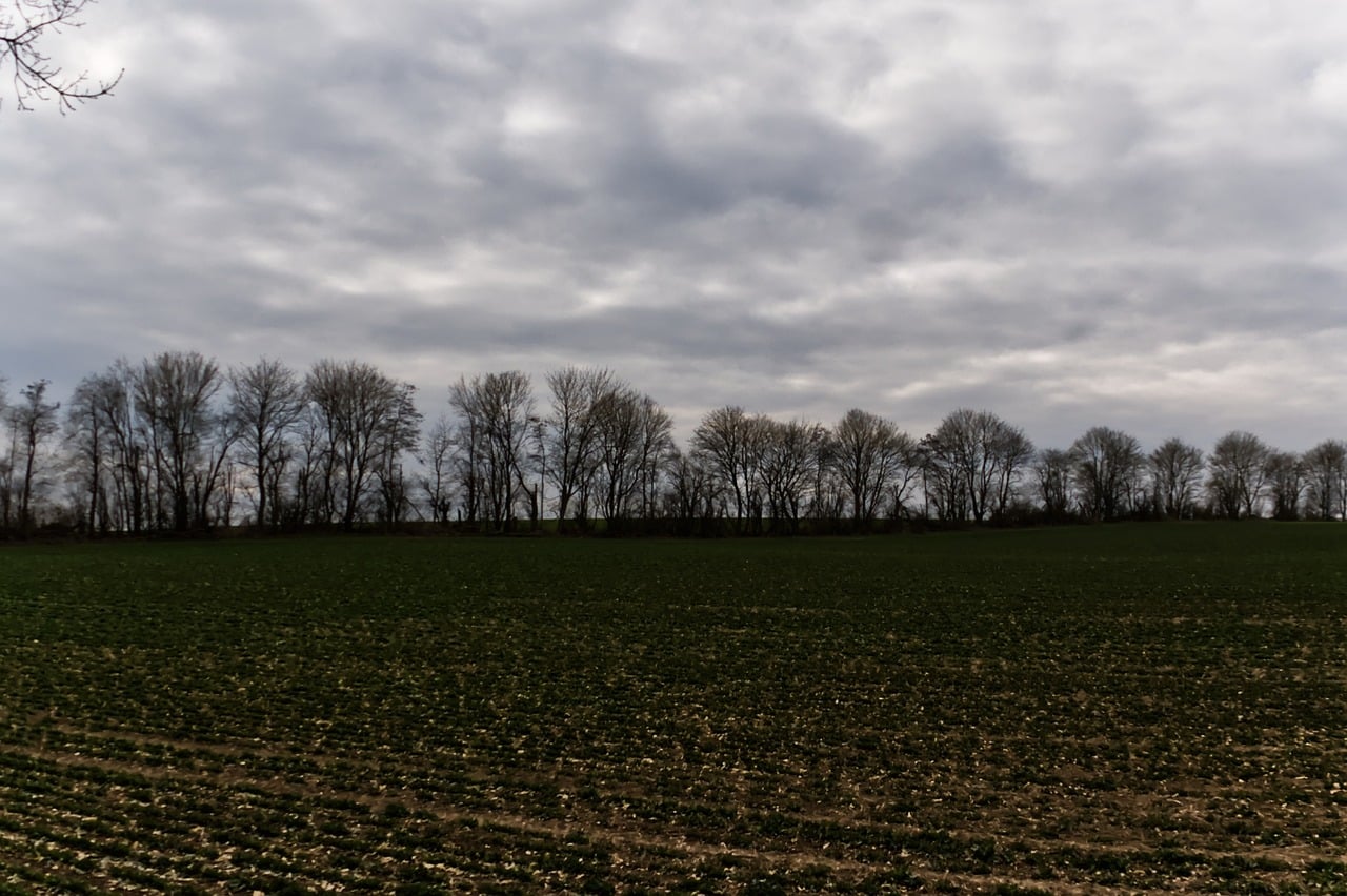 image Today&#8217;s weather: Overcast at times, clear night