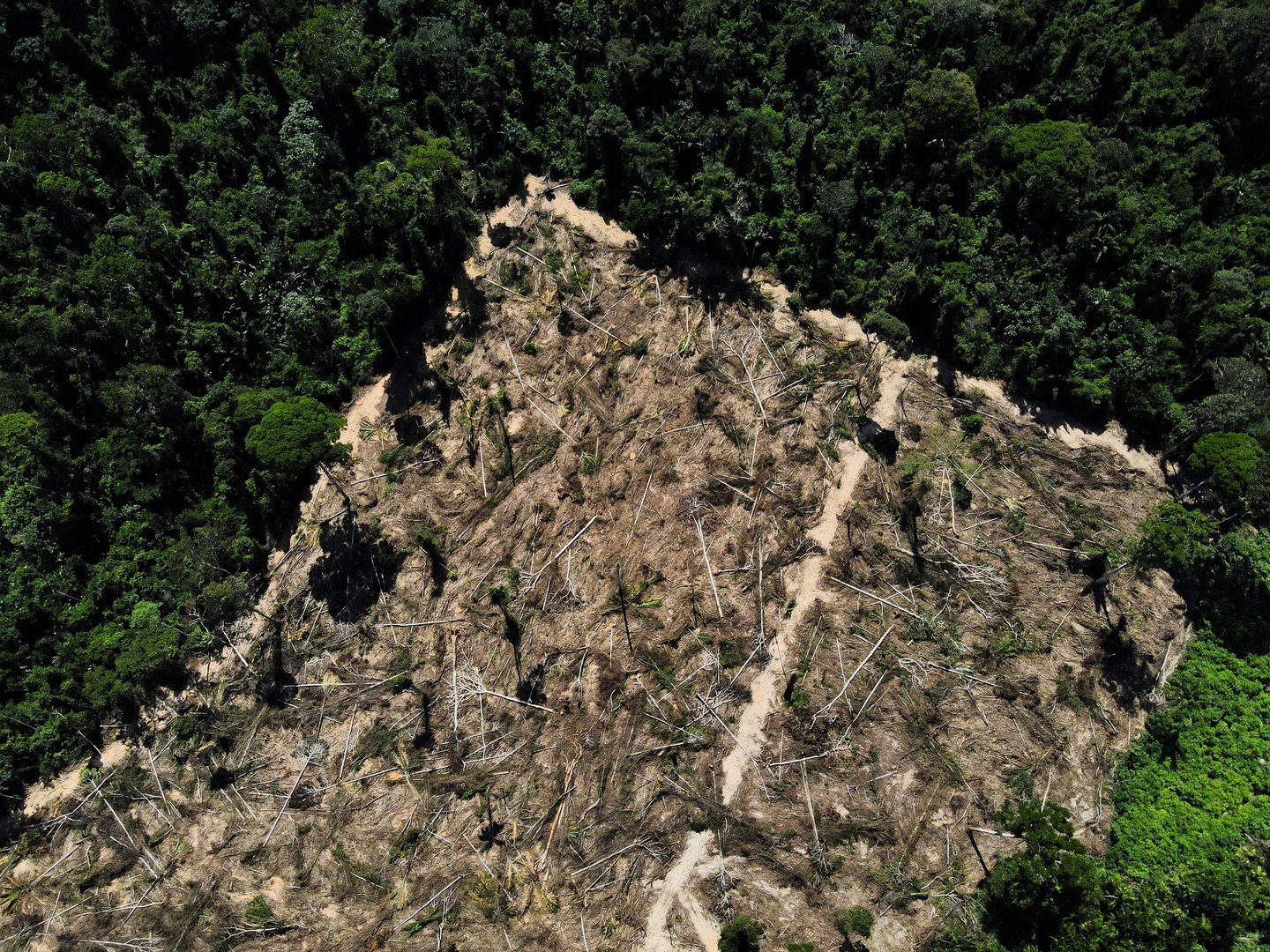 image Climate on track to warm by nearly 3C without aggressive actions, UN report finds