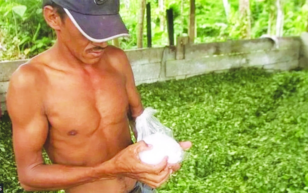image Cocaine still Colombia drug gangs&#8217; top export despite fentanyl&#8217;s ascendancy