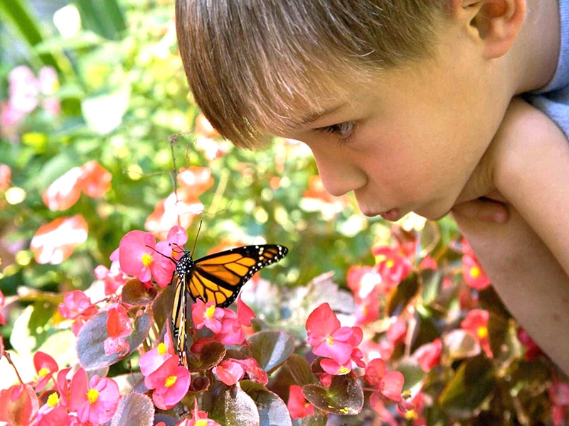 image Is there a new monarch in Cyprus?!