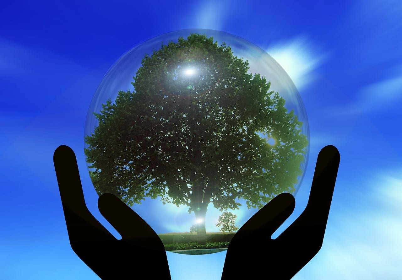 image EU&#8217;s sustainability reporting rules set to have major effect on Cypriot companies