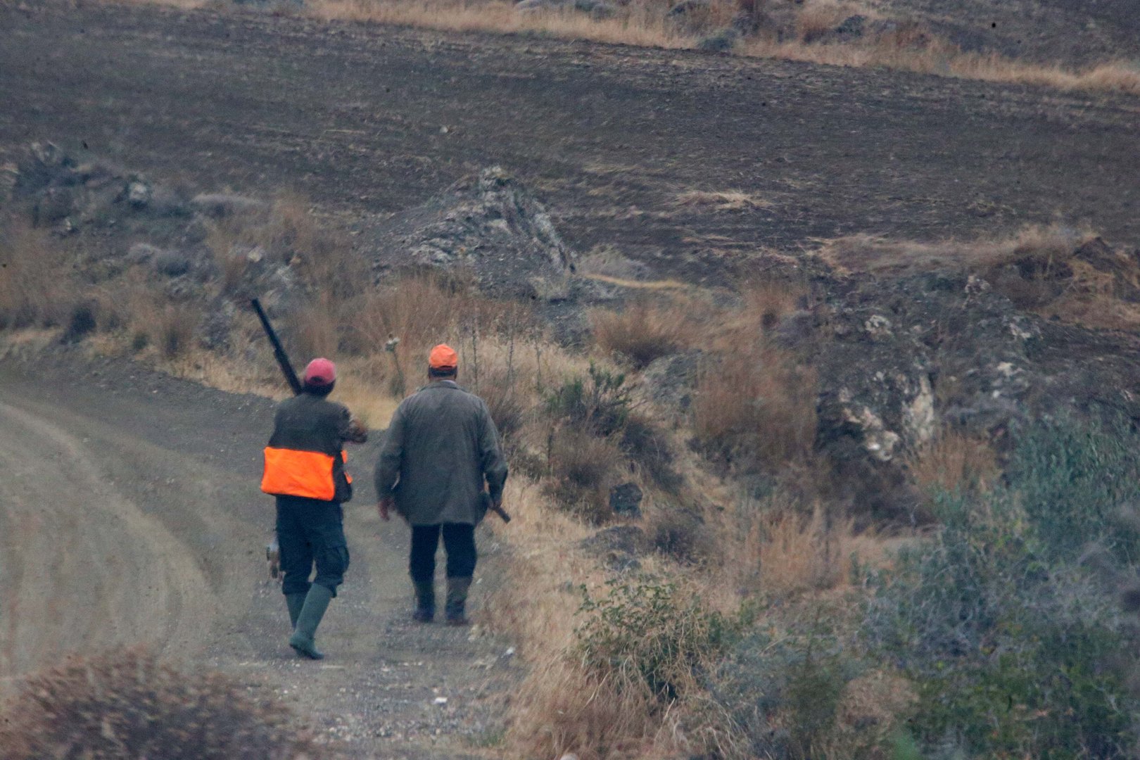 image Hunters ‘disappointed’ by lack of huntable animals this year