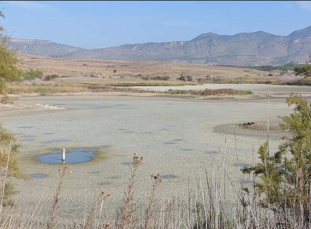 image Biologists warn against complacency as Kioneli reservoir dries up