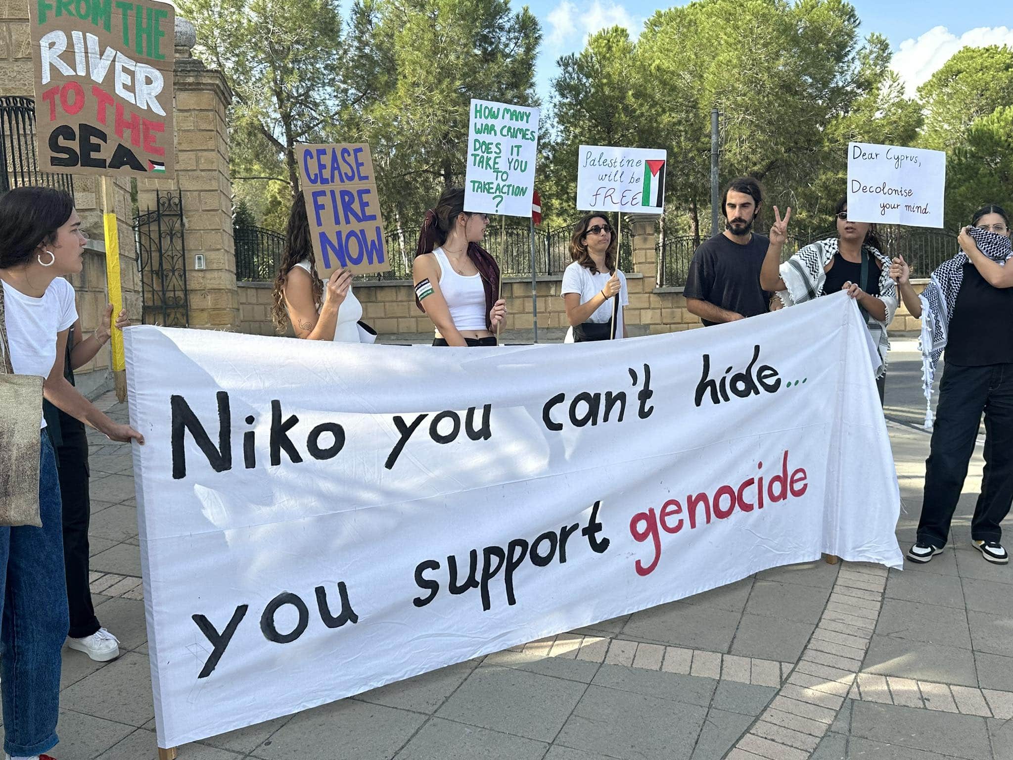 image Demonstrators stage sit-in at Presidential Palace, call for Gaza ceasefire