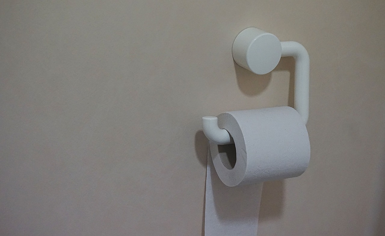 image Schools in north receive ‘0.12 toilet rolls per pupil per year’ from ‘ministry’