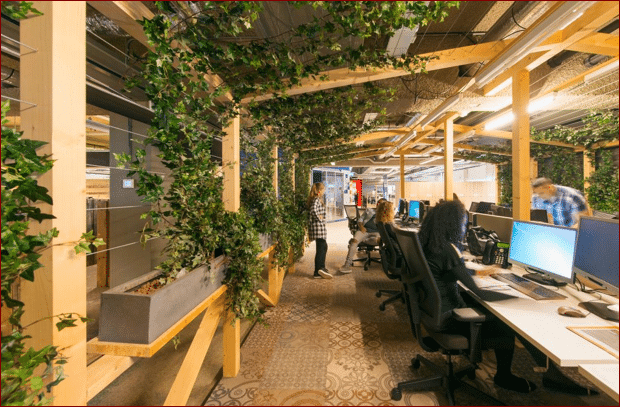 image Sustainability in co-working: Environmentally-friendly initiatives in shared workspaces