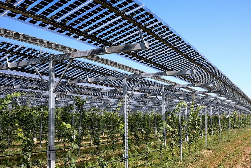 Bioland hosts RES, agrivoltaics workshop