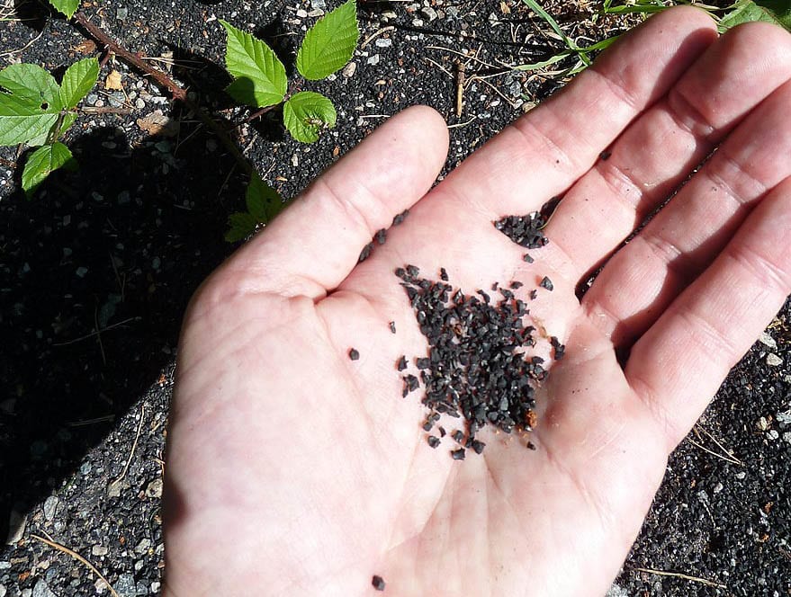 image Cyprus’ beaches are coated with plastic