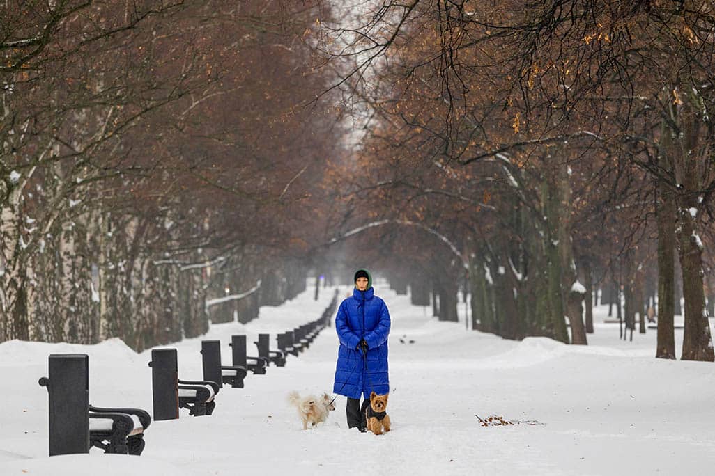 image Temperatures in Siberia dip to -50 Celsius as record snow blankets Moscow