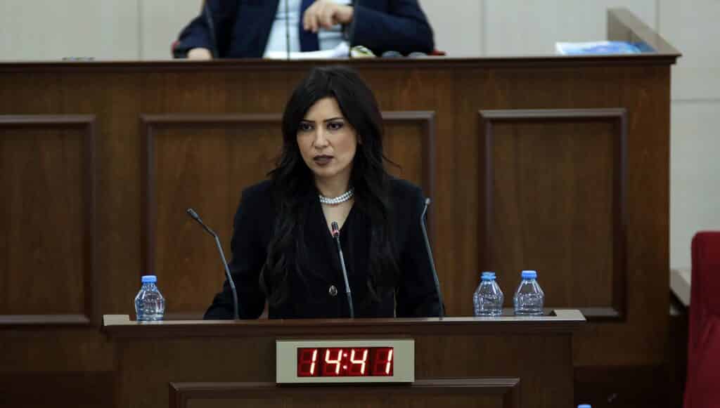 image North’s ‘deputy parliament speaker’ pledges to legalise conscientious objection