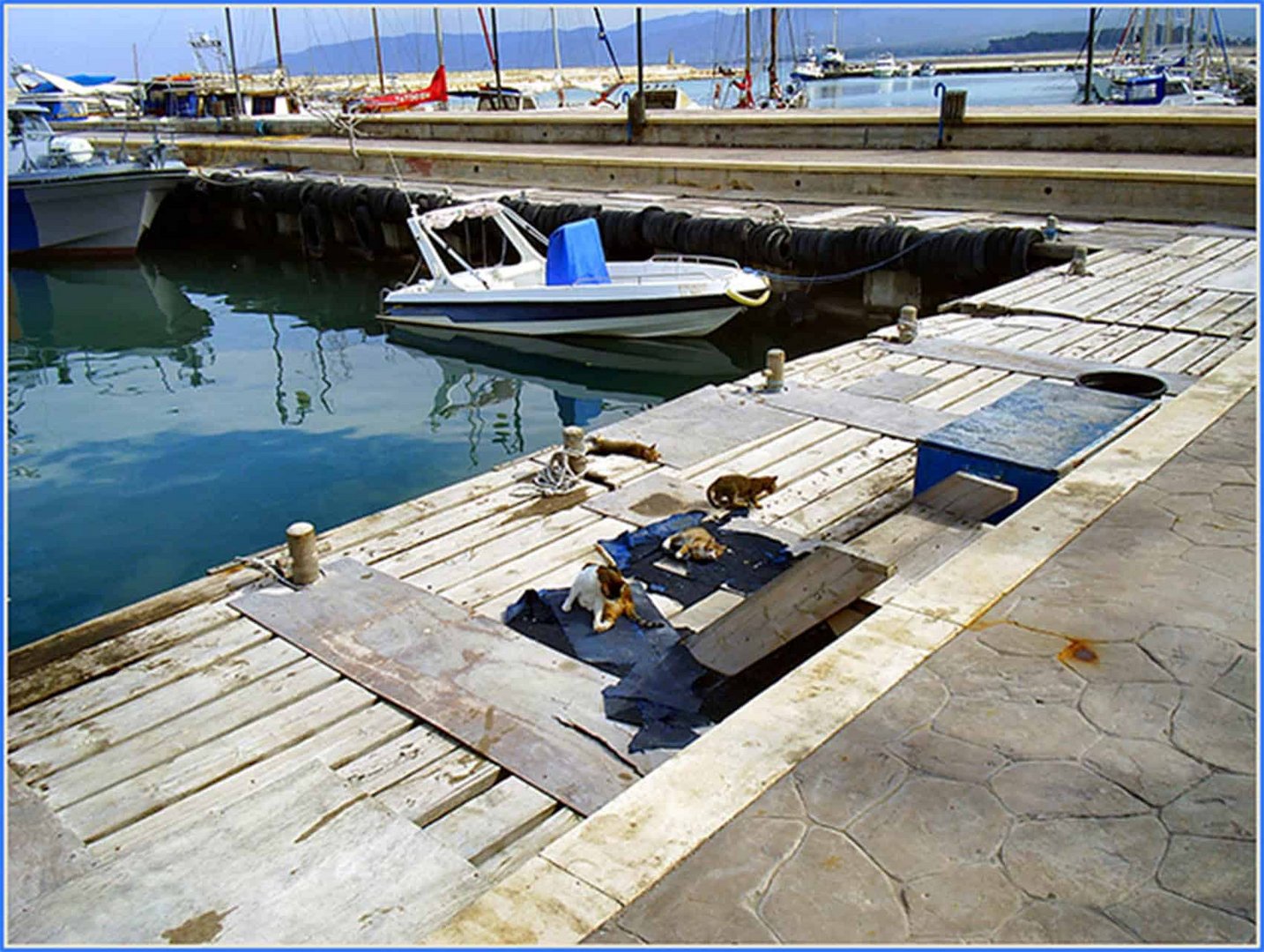image Protected zones included in national maritime plan to be presented for EU approval
