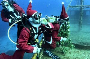 Summer Divers, Nemesis, shipwreck, underwater, scuba diving