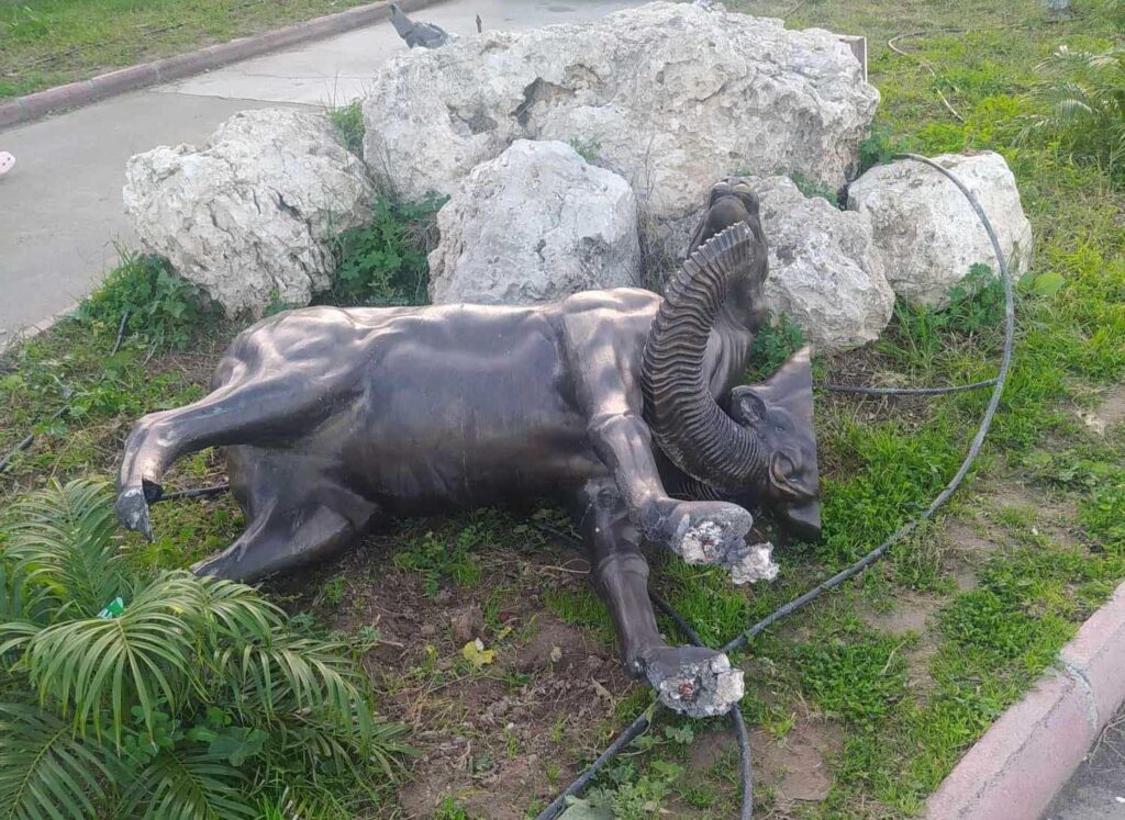 after mouflon
