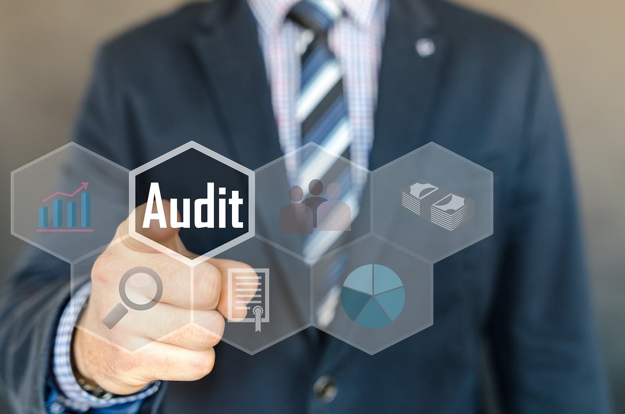 image Independence of audit service stymied by executive – report