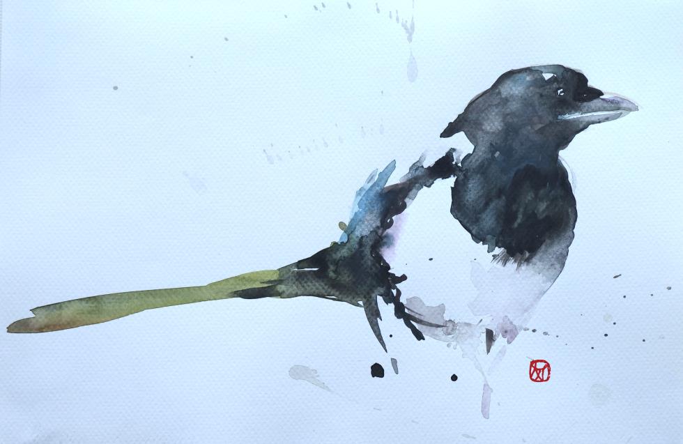 birds