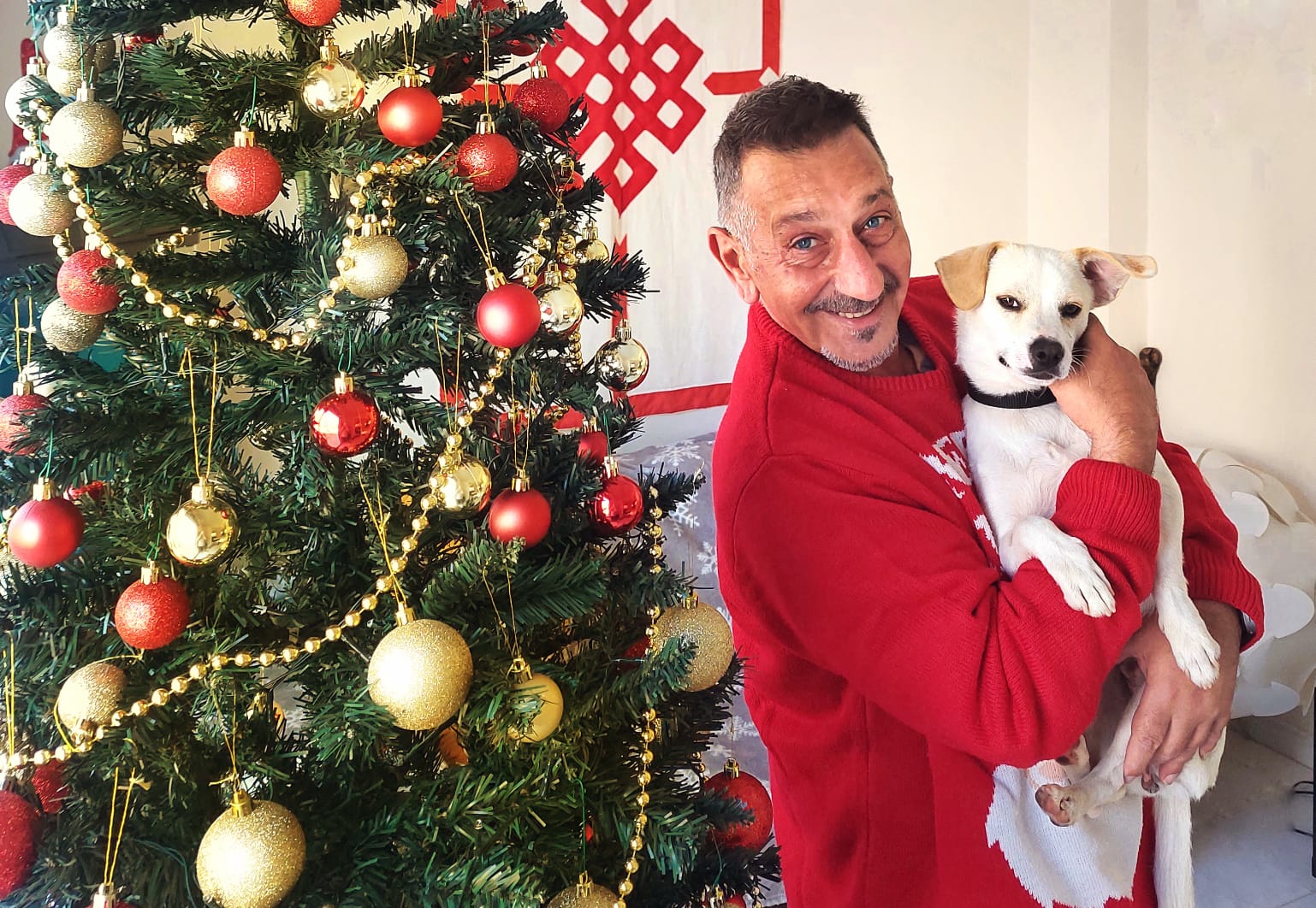 image What’s the cost of a Cyprus Christmas?