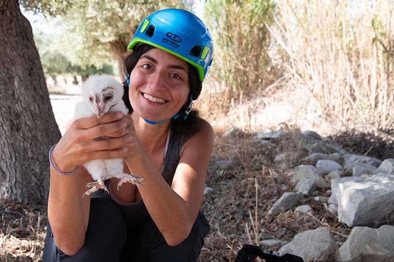 feature3 antaia holding a barn owl chick (zoltan tolgyesi)