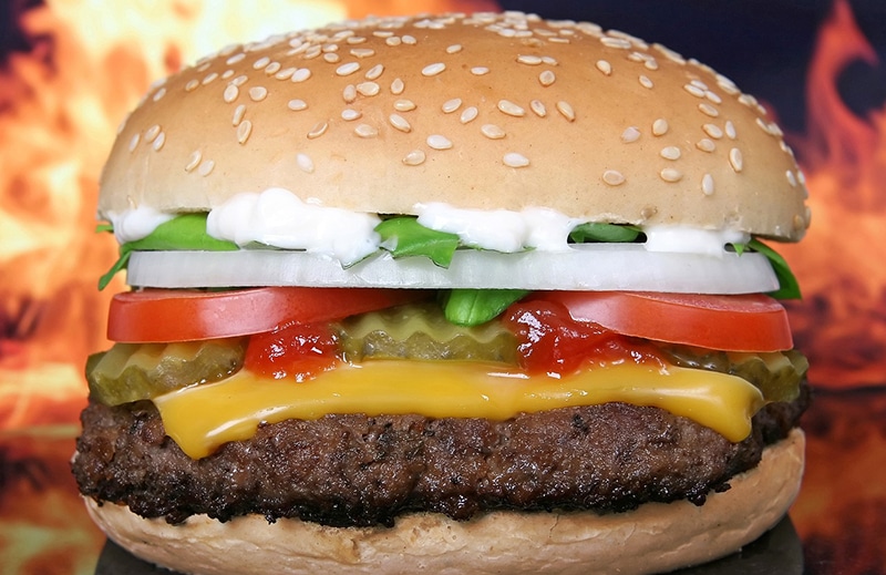 image The history of … The humble hamburger