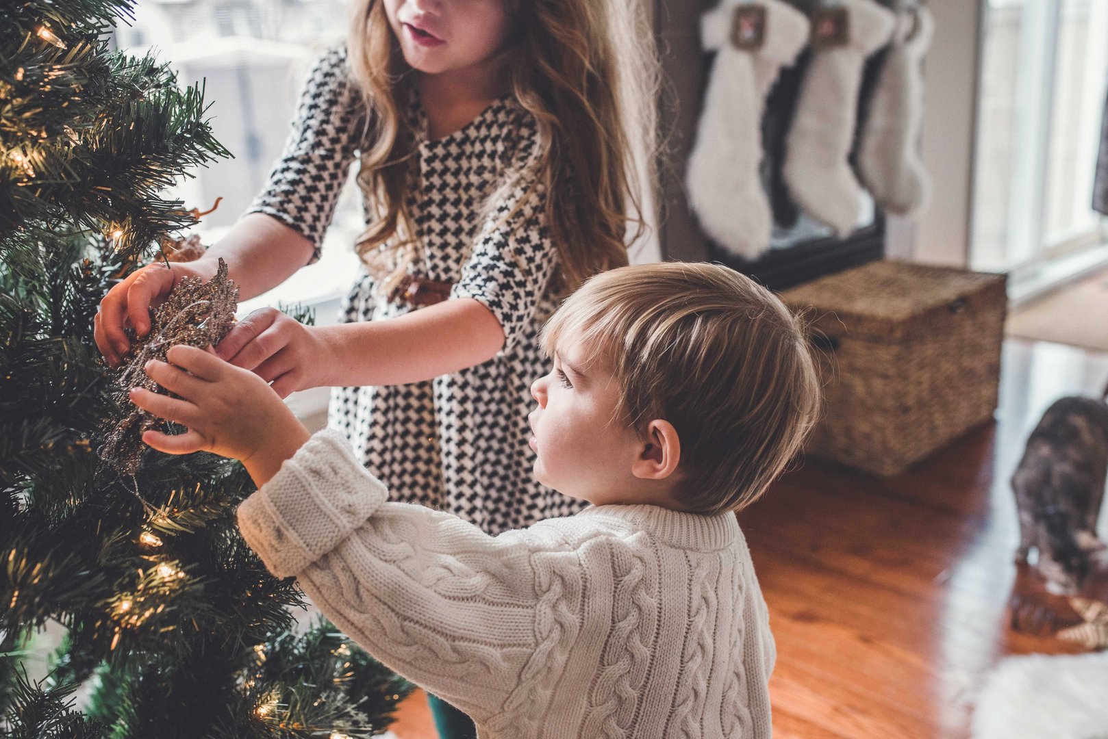 image The most stressful time of the year?