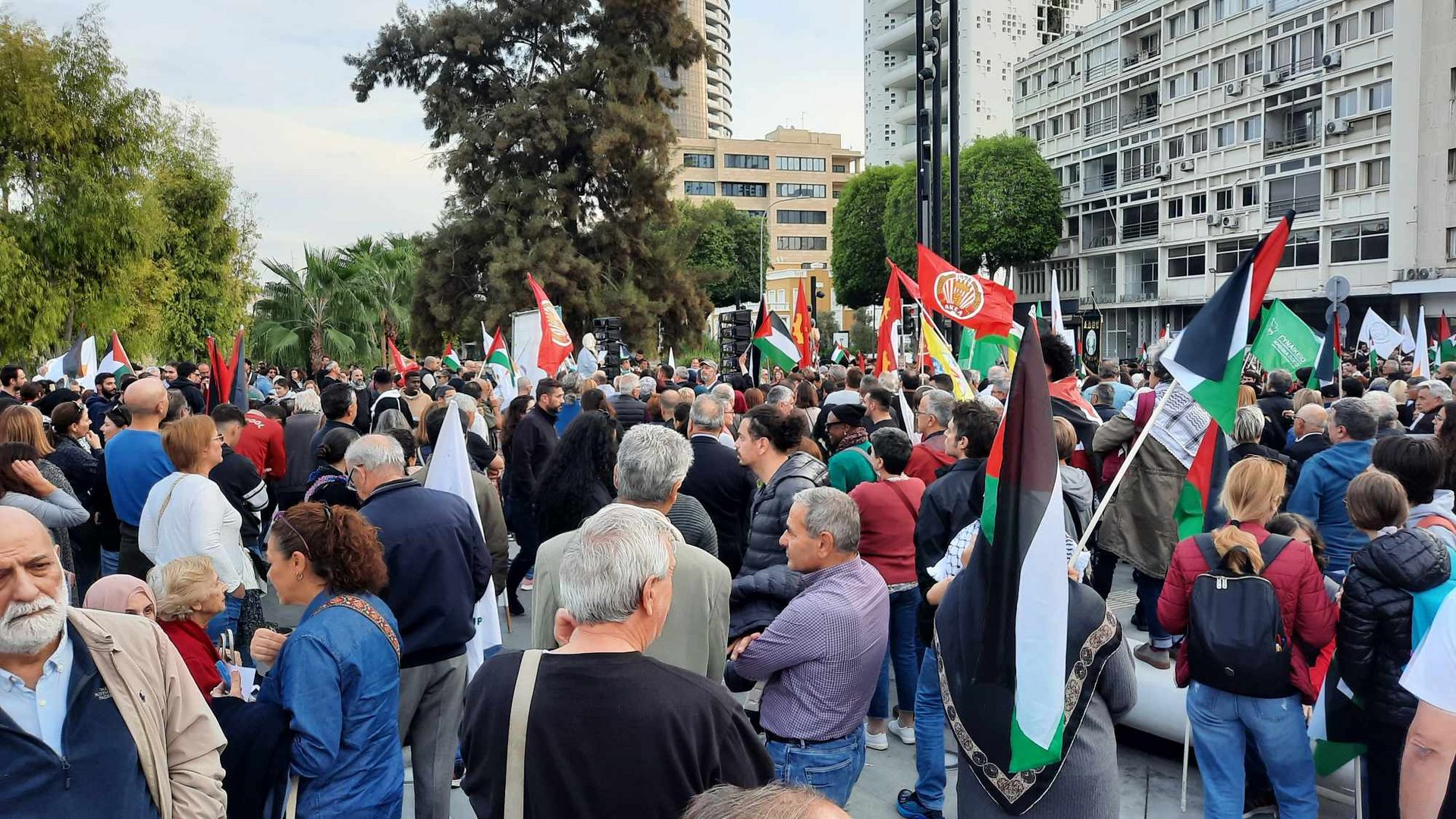 image Large-scale protest in support of Gaza ceasefire held in Nicosia (pics &#038; video)
