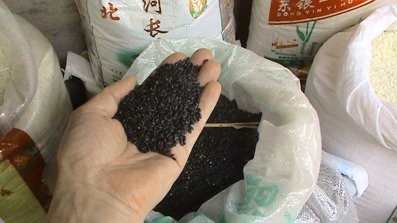 recipes rice 01