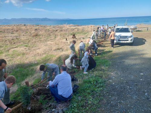 image Tree planting at Yialia