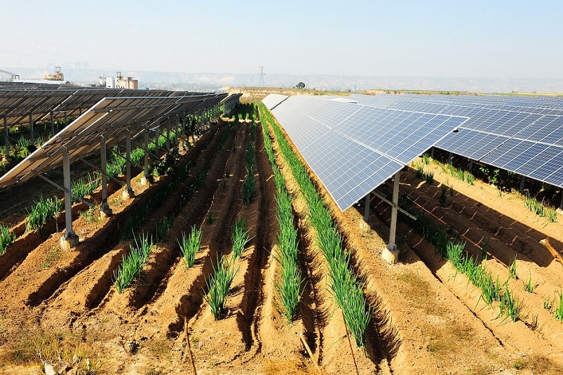 image Govt to reform state land allocation for solar parks