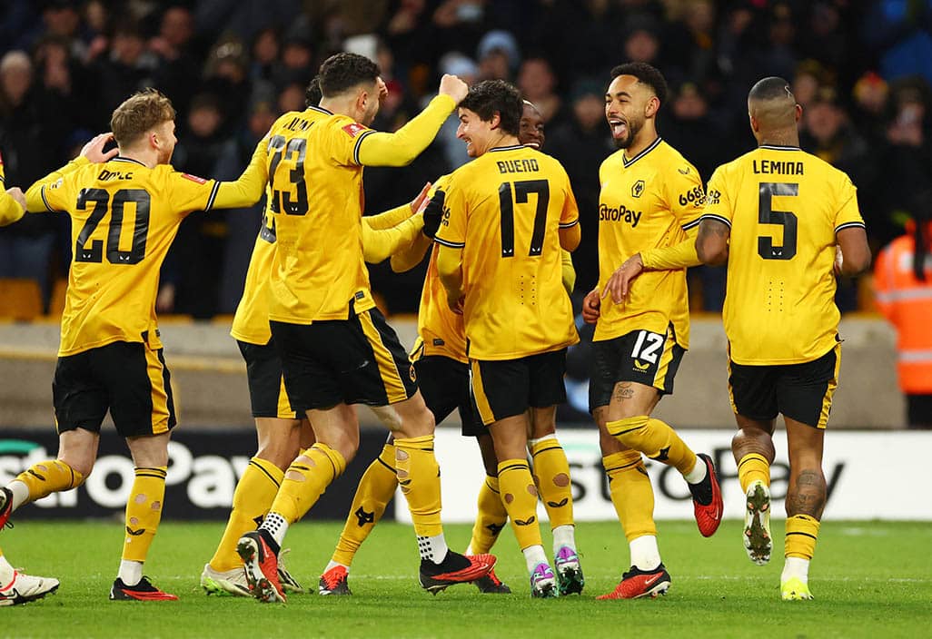 image Wolves fan plucked from crowd to take on fourth official duties