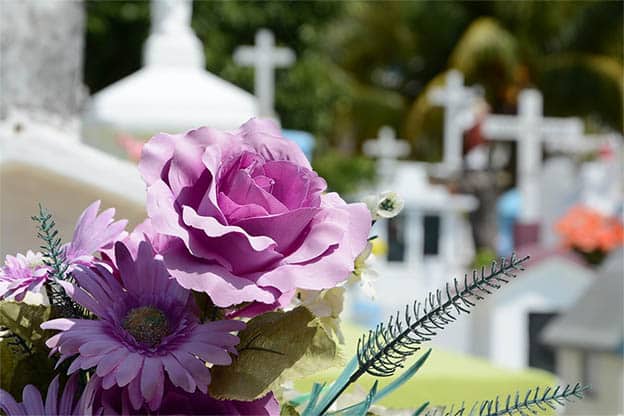 image Trial postponed for fatal New Year car crash
