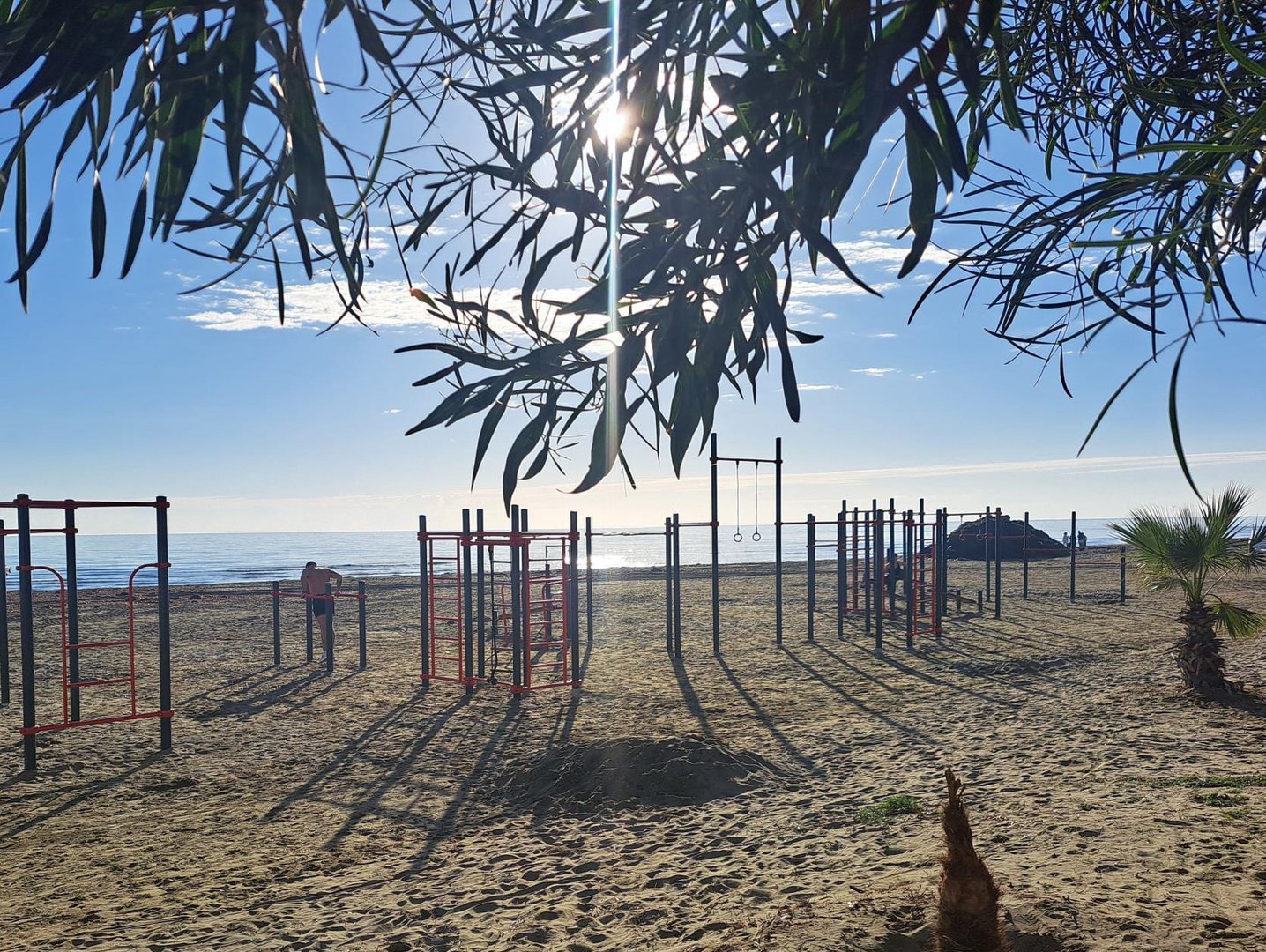 feature jon callisthenics parks have been erected on some of the beaches