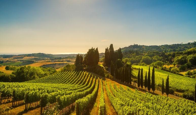 image Greece, Blue Zones and the Mediterranean diet