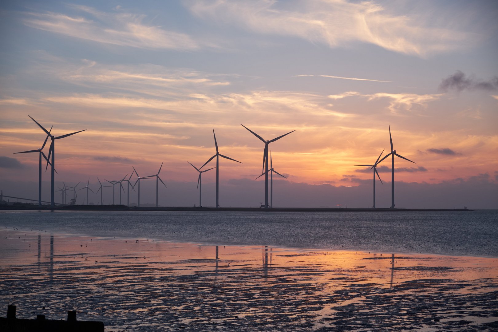 image Energy minister sees green future