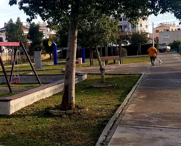 image Tree planting in Paphos and Larnaca