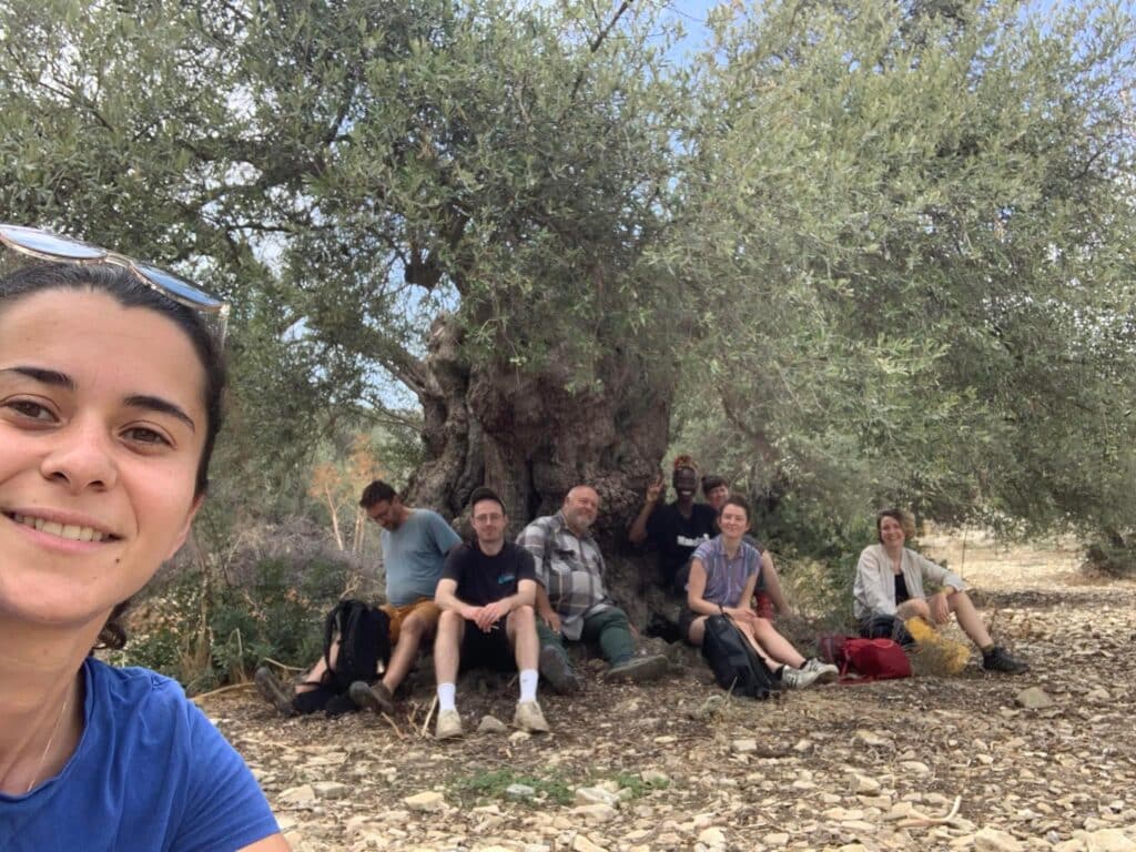 our students from around 20 different countries are a great example of volunteers willing to help, by cleaning around and generally looking after 1,000 year old olive trees