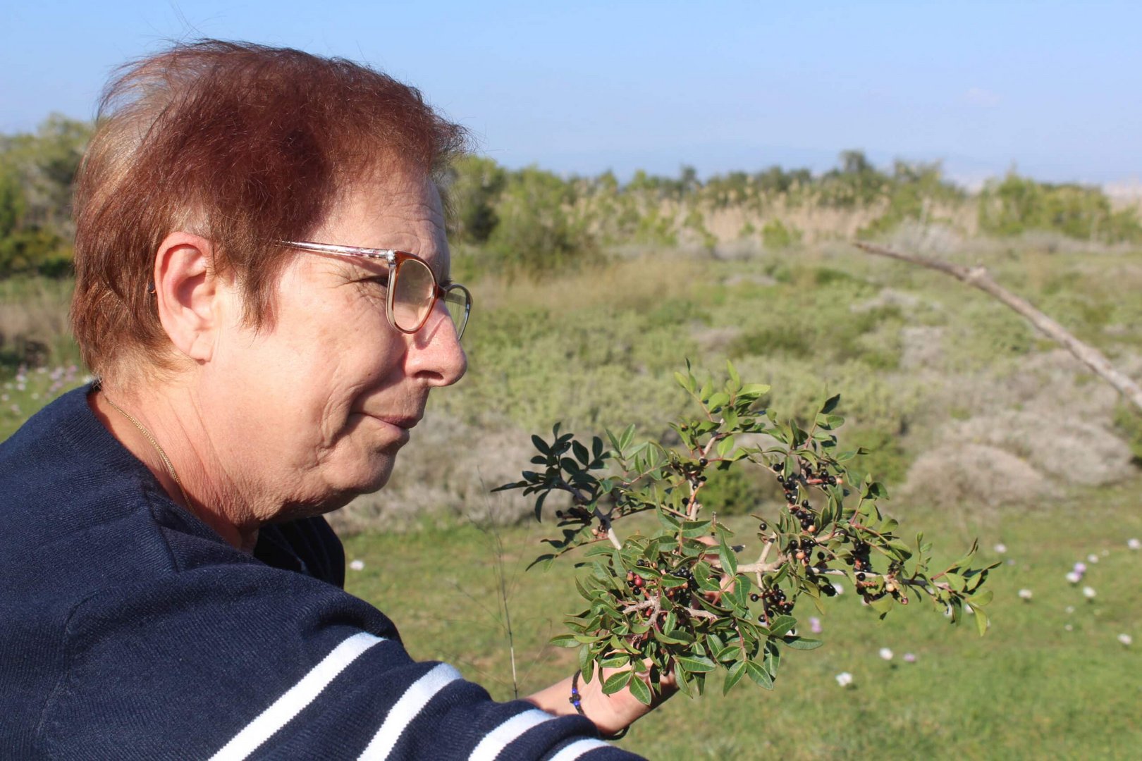 panayiota demetriou from kato drys is a wild food expert. she holds the ripe black berries of shino seeds seen in loukanika