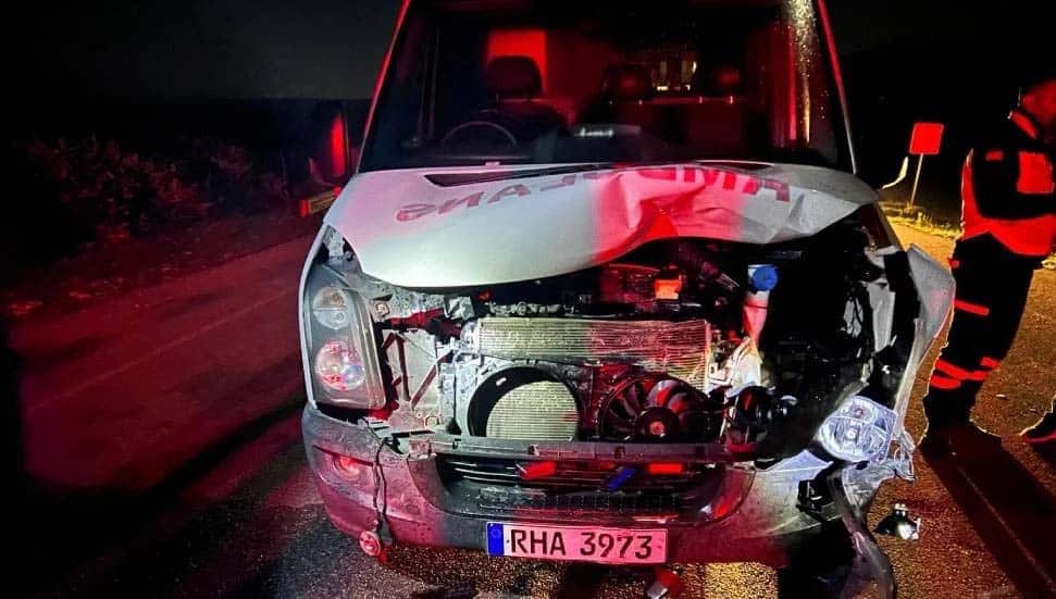 image Donkey run over by ambulance