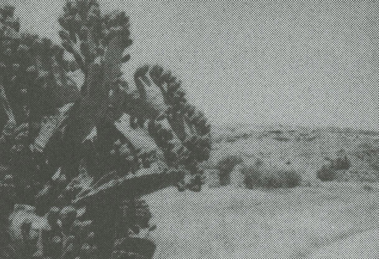 image Exhibition links Arizona and Cyprus
