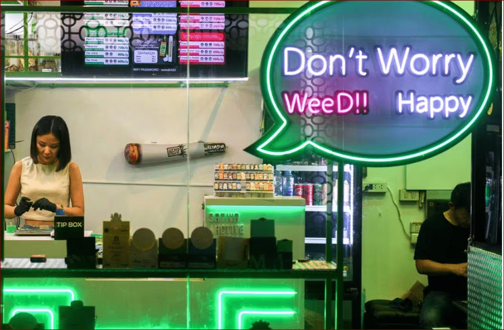 image Misuse of cannabis forces Thailand to ban recreational use by year-end