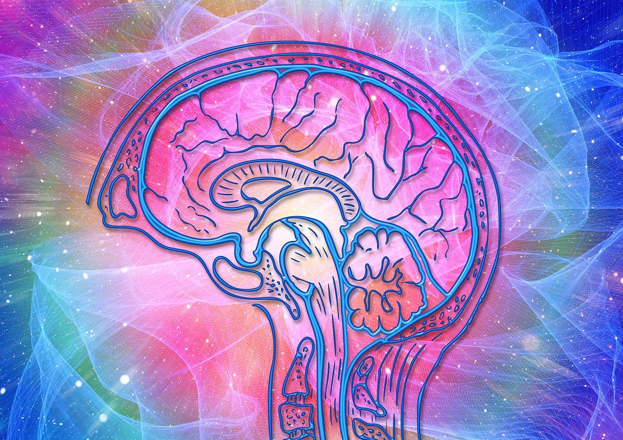 image Cognitive research using N-Acetyl Selank