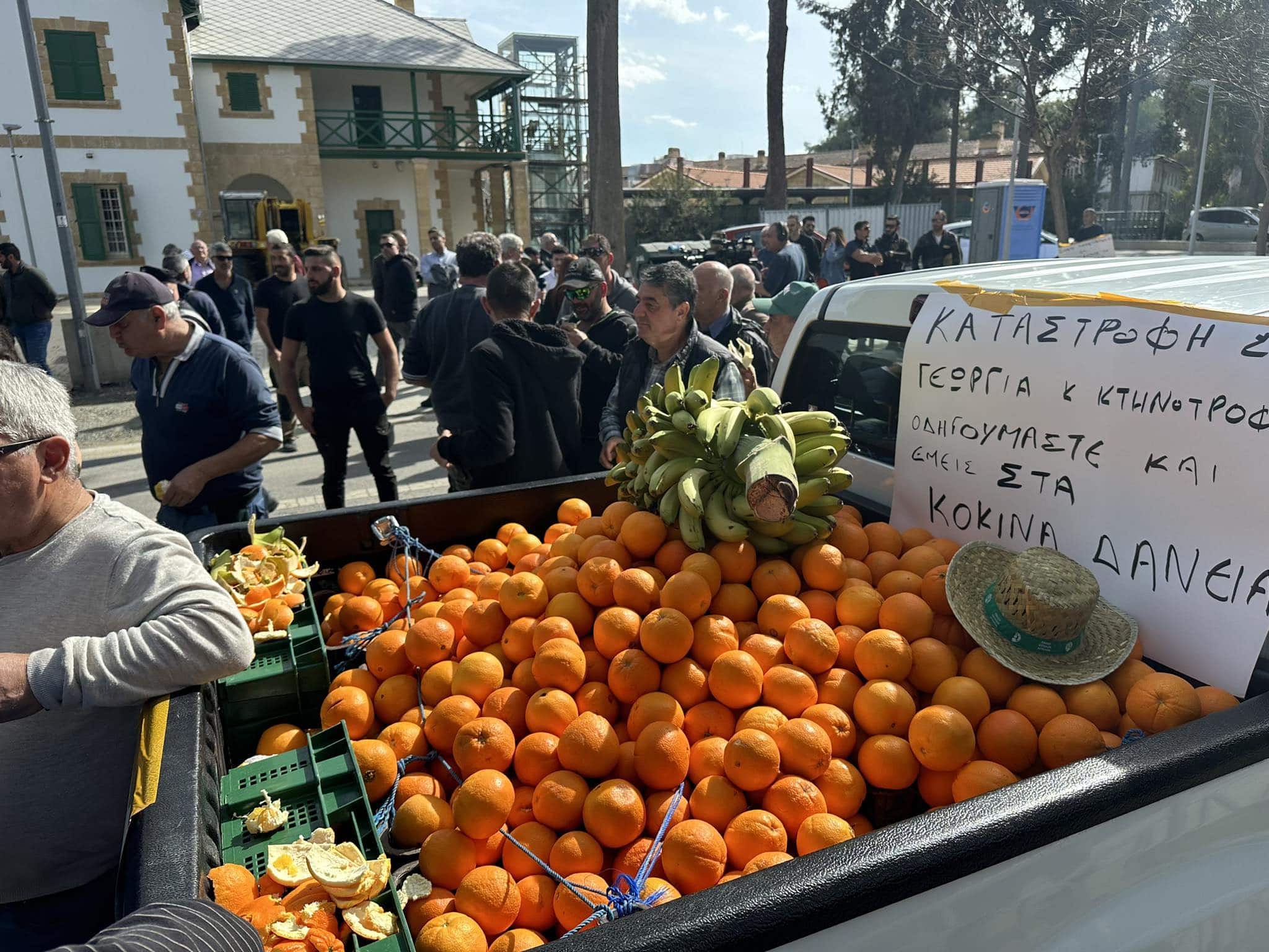 farmers demo oranges