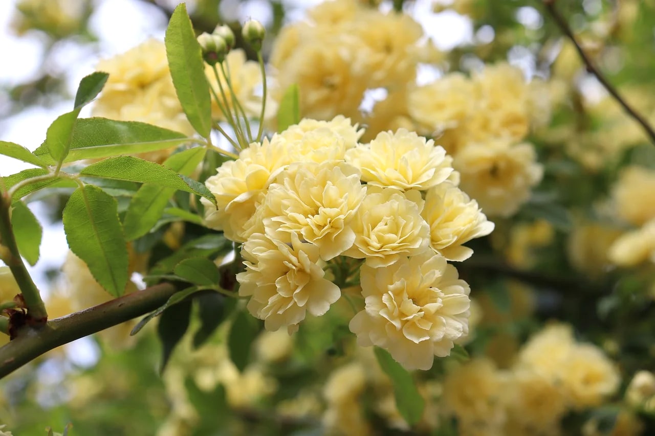 image A cold and wet month, but spring is just round the corner