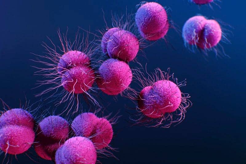 image Dietary fibre affects more than your colon
