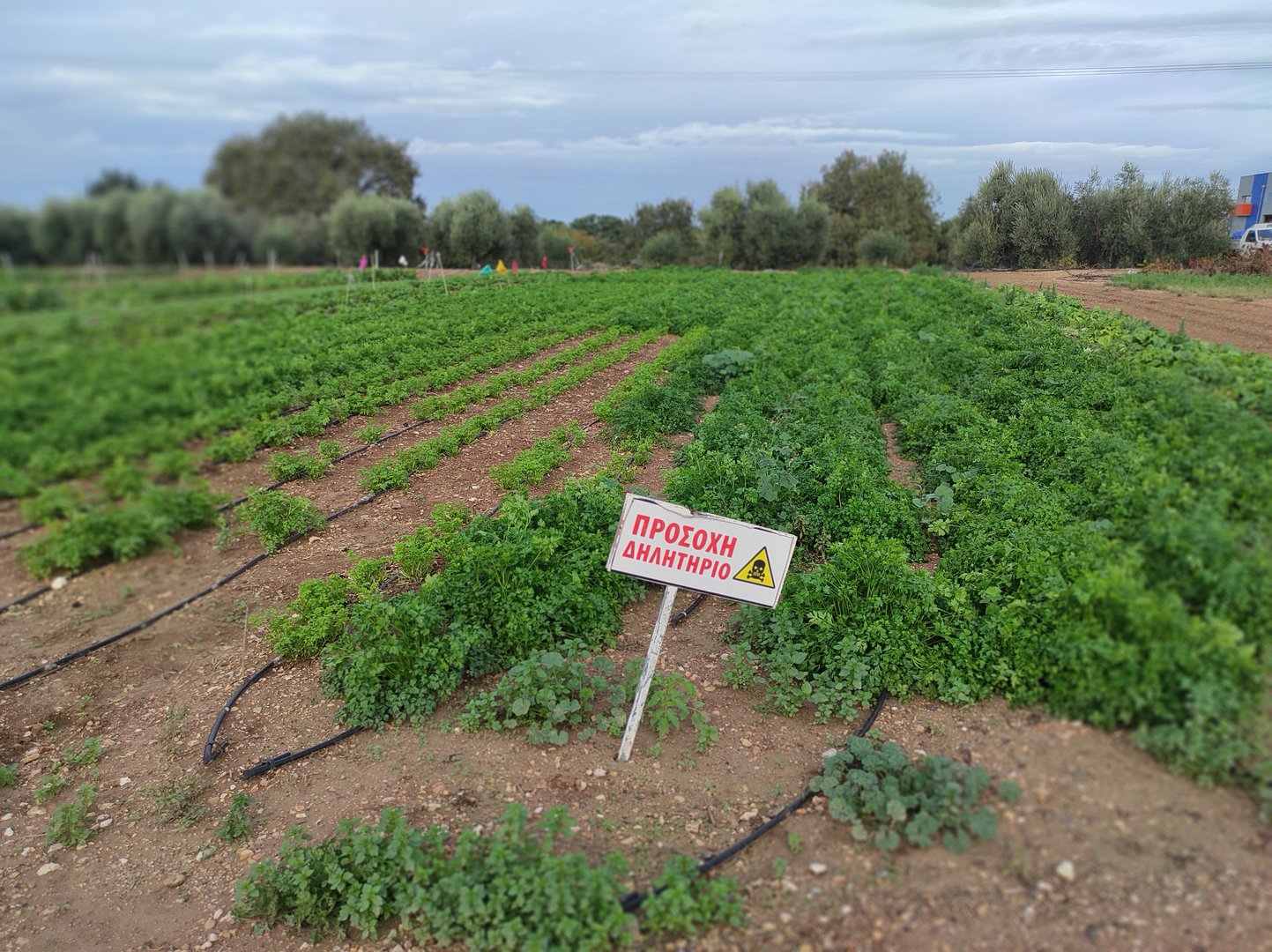 image ‘Farmers need better support through green transition’