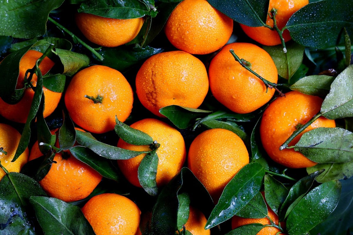 image Boosting agriculture a ‘top priority’