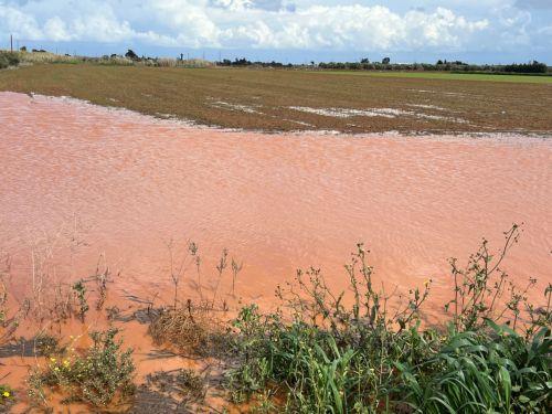 image Minister pledges ‘immediate compensation’ to potato farmers